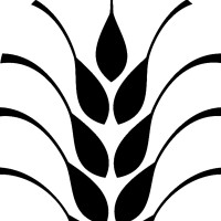 Whole Wheat Creative Logo