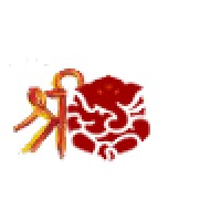 Shree Ashtavinayak Design Studio Logo