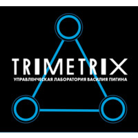 TriMetrix Solutions Logo