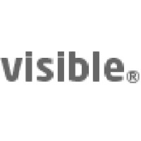 Visible Assets Logo