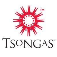 Tsongas Litigation Consulting Logo
