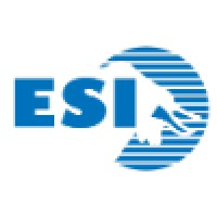 Eichenauer Services Inc. Logo