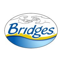 Bridges US Logo