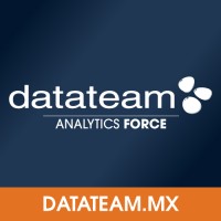 Datateam Logo