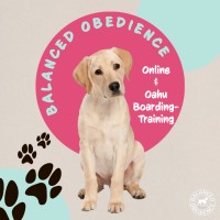 Balanced Obedience Logo