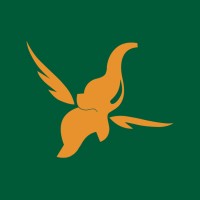 Toonz Media Group Logo