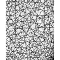 Synapse Networks Logo