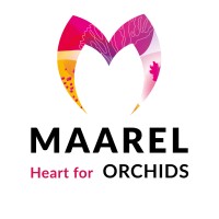 Maarel Orchids Logo