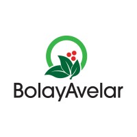 Bolay Avelar Logo