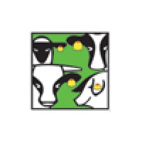 Fearing International Logo