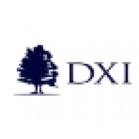 DXI Planejamento Financeiro Logo