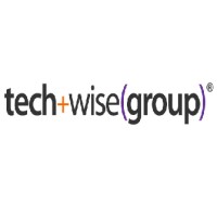 TechWise Group Logo