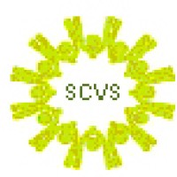 Slough CVS Logo
