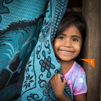 Vision du Monde Logo