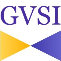 GVSI, LLC Logo