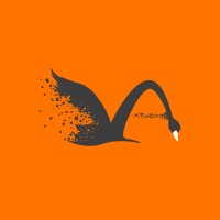 Grey Swan Digital Logo