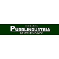 Pubblindustria srl Logo