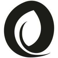 NOX Academy Logo