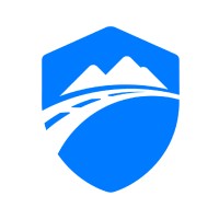 Idelic Logo