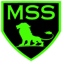 Modern Security Systems Ltd. Logo