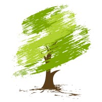 Oakstone Analytics, LLC Logo