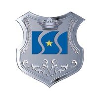 World Scaffolding Co,.Ltd Logo