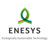 Enesys: Ecologically Sustainable Technology Logo