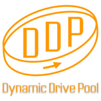 DDP Dynamic Drive Pool by Ardis Technologies Logo