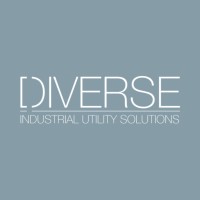 Diverse Supplies, LLC, Logo