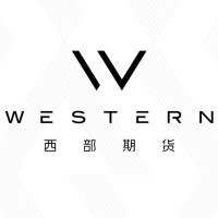 西部期货有限公司 Logo