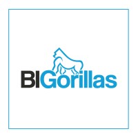 BIGorillas Logo