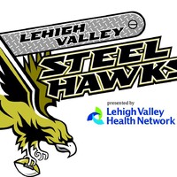 Lehigh Valley Steelhawks Professional Arena Football Logo