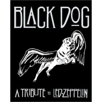 Black Dog - a tribute to Led Zeppelin Logo