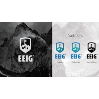 Equity Endeavors Investment Group, LLC Logo