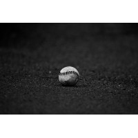 Wild Pitch Media Logo