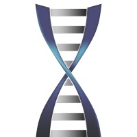 Carolina BioOncology Institute Logo
