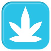 BLAZE Logo
