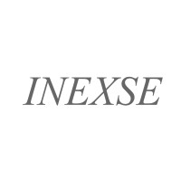 INEXSE Integrated Expertise & Services Logo