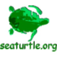SEATURTLE.ORG Logo