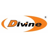 Divine Vidros Logo