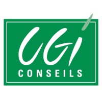 CGI Conseils Logo