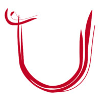 U-Studio.Agency Logo