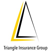 Triangle Insurance Group Logo