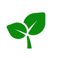 Organical - The SEO Experts Logo