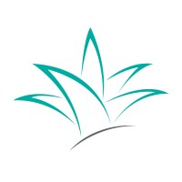 The IIDEA Company Logo