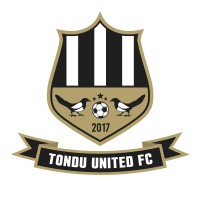 Tondu United Football Club Logo