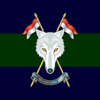 Scottish and North Irish Yeomanry Logo