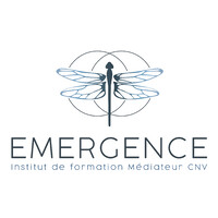 INSTITUT EMERGENCE Logo