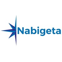 Nabigeta Digital Transformation Services Logo