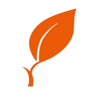 ADEAS Orange Logo
